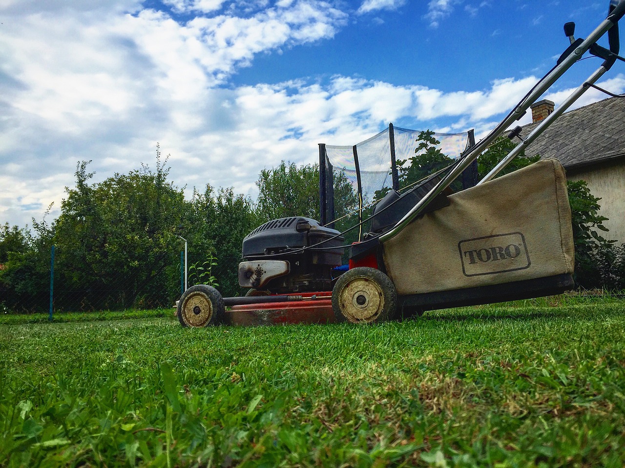 Main Types Of Lawn Mowers